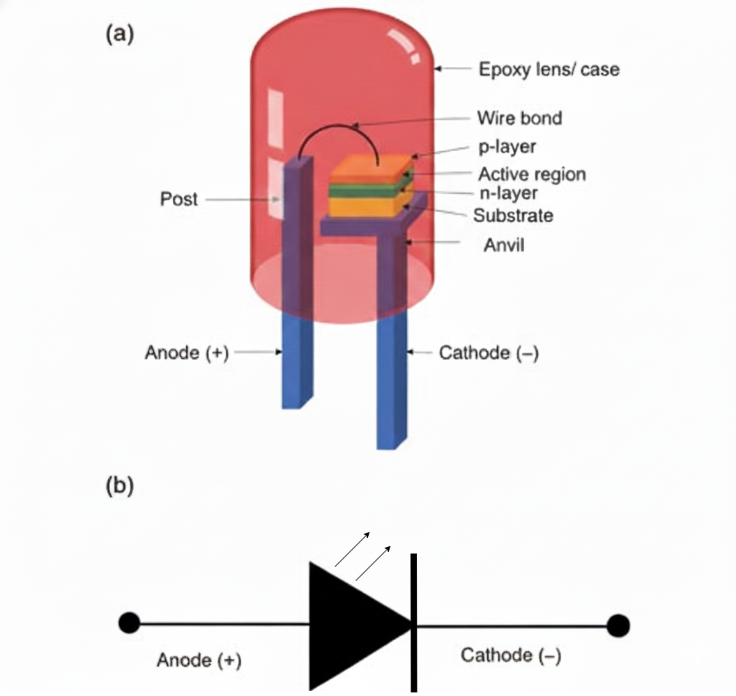 Understanding Light Emitting Diodes: A Complete Guide